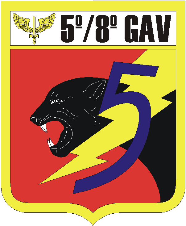 5º/8º GAV – Esquadrão Pantera