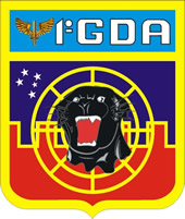 1º GDA – Esquadrão Jaguar