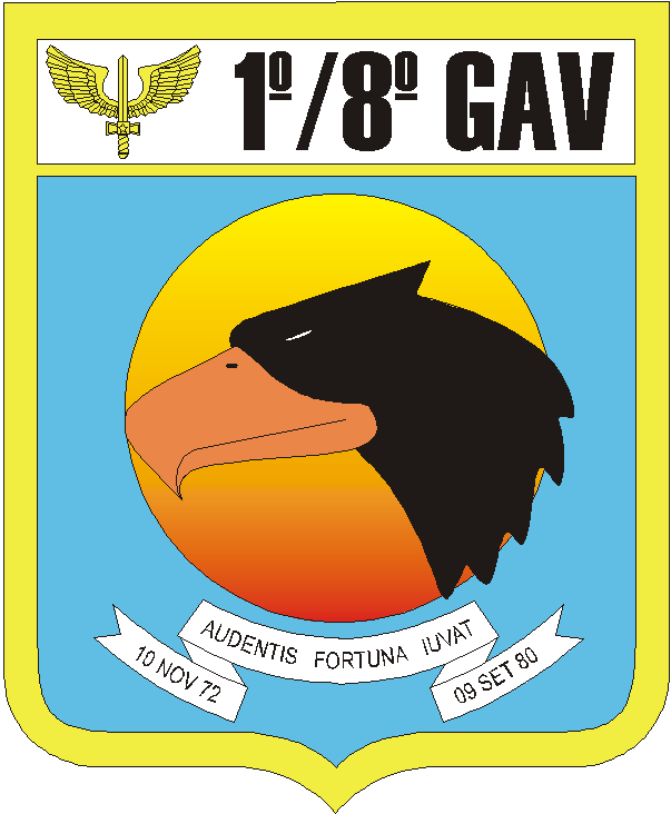 1º/8º GAV – Esquadrão Falcão